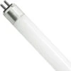 1800 Lumens - 12 Watt - 5000 Kelvin - 4 Ft. LED T5 Tube Lamp - Type C -Hockey Edge Shop data 50